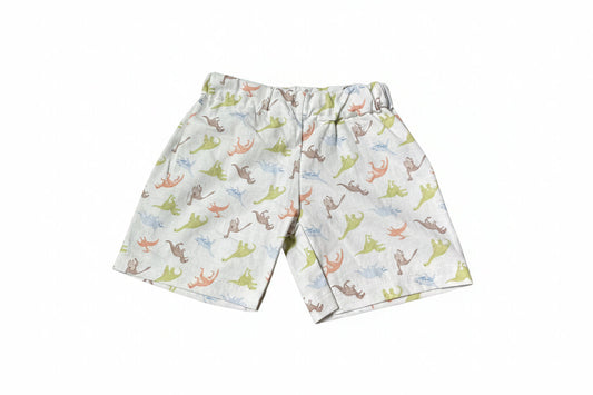 Dino Adventure Shorts