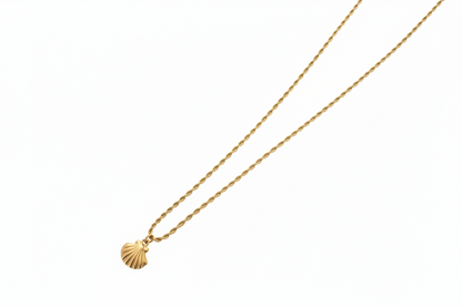 Seashell Necklace